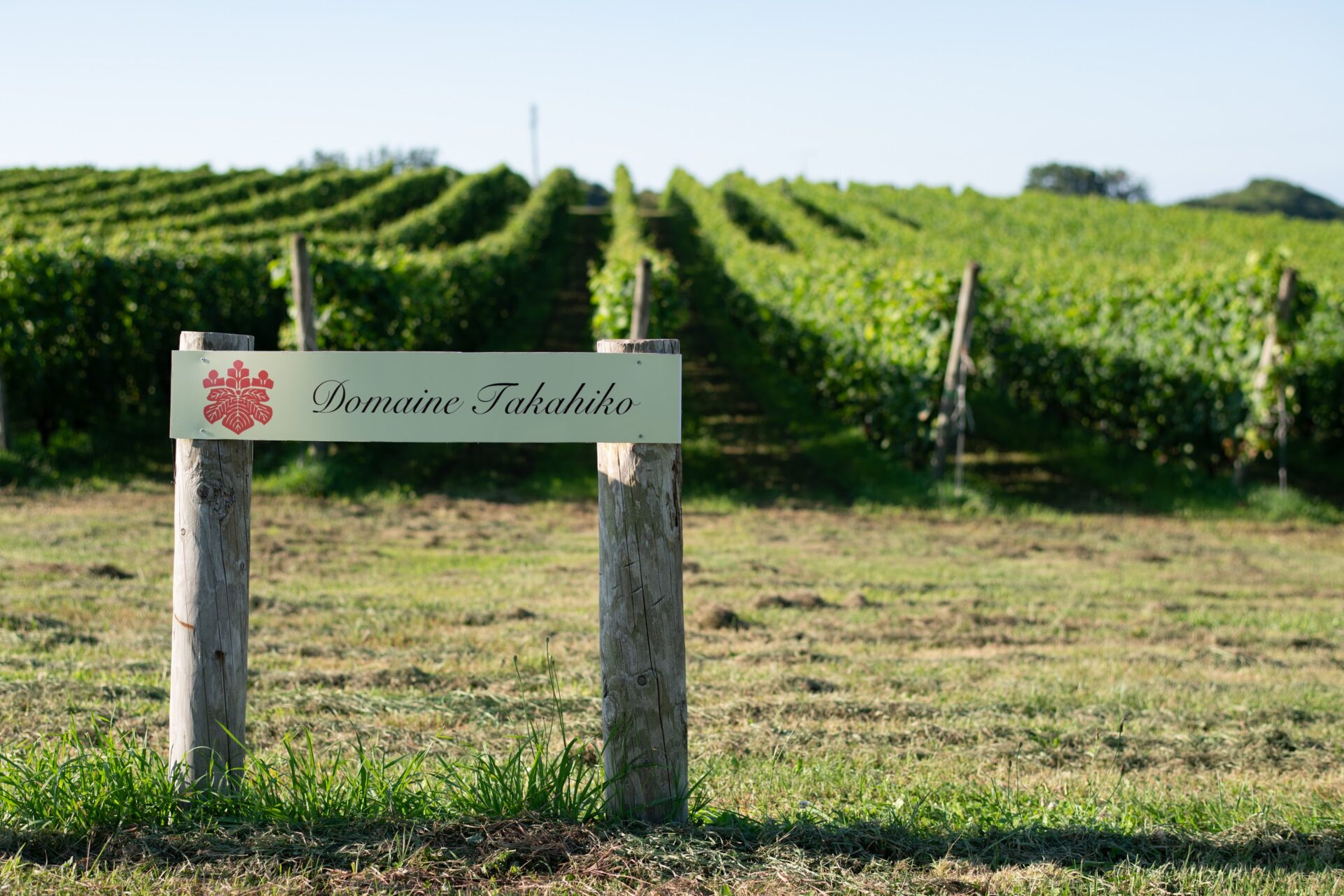 Domaine Takahiko, the Rarest Wine in Japan, Doesn’t Seek Awards but ...