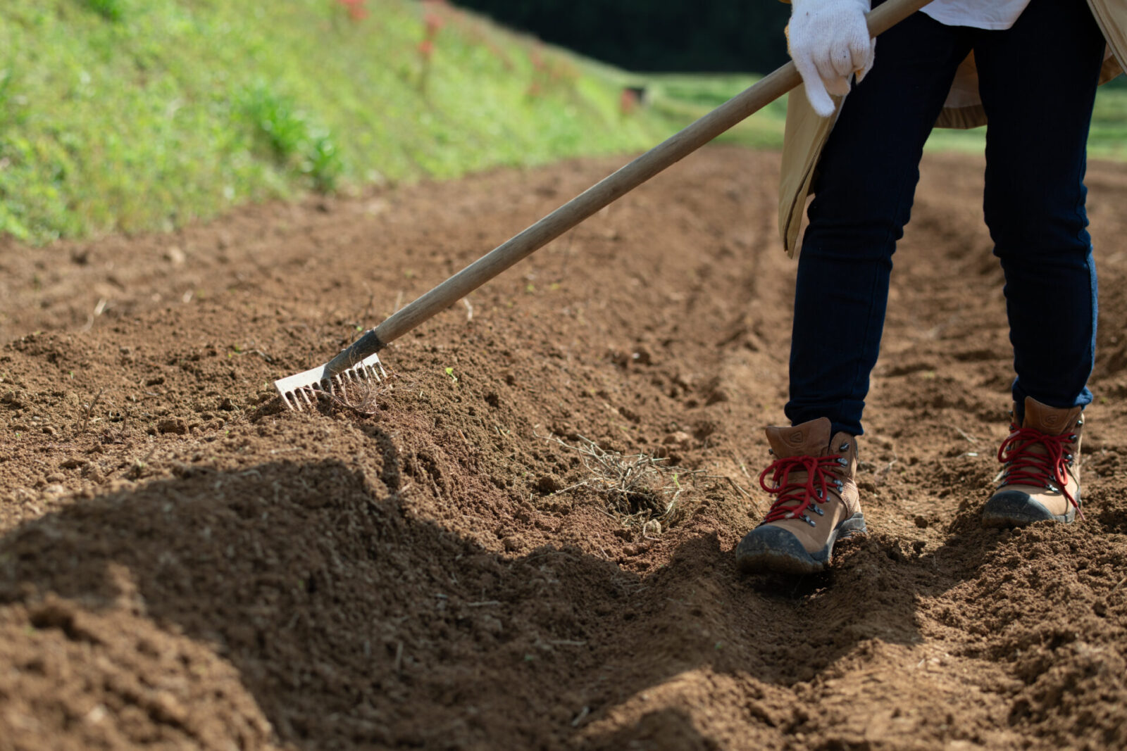 DIG THE TEA、石川の段々畑にハーブを植える。ハーブ農園「ペザン」との共同実験はじまる DIG THE TEA